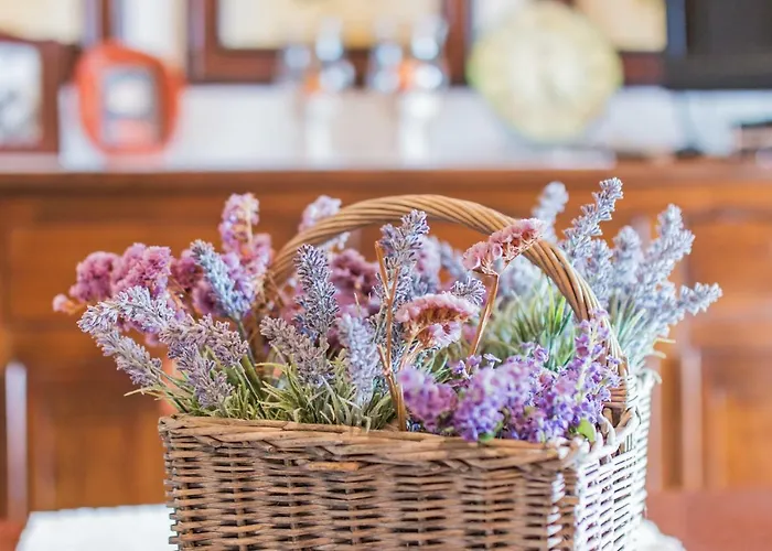 Casa Lentischio Holiday home